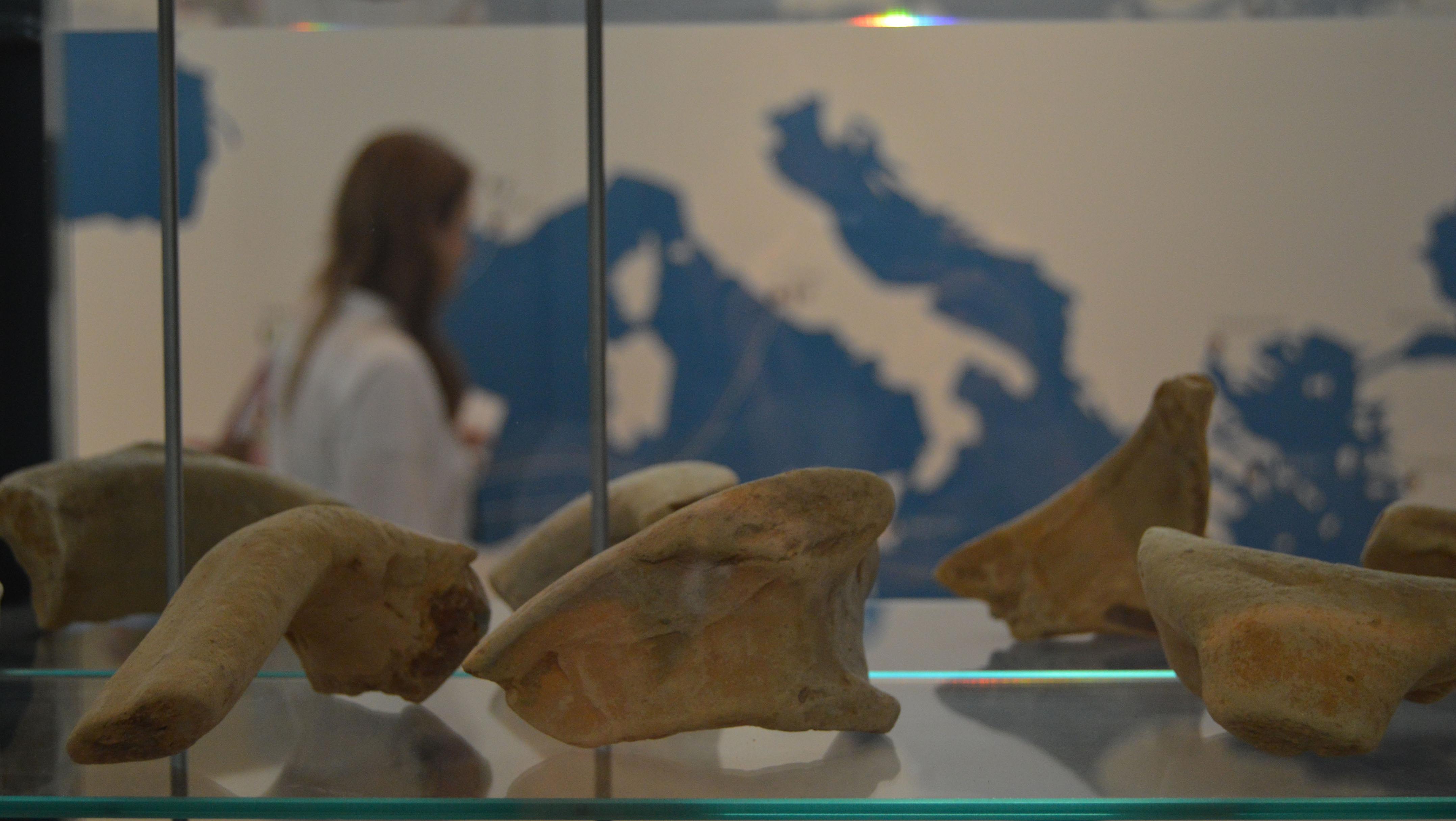 Artefactos arqueológicos dentro de vitrine