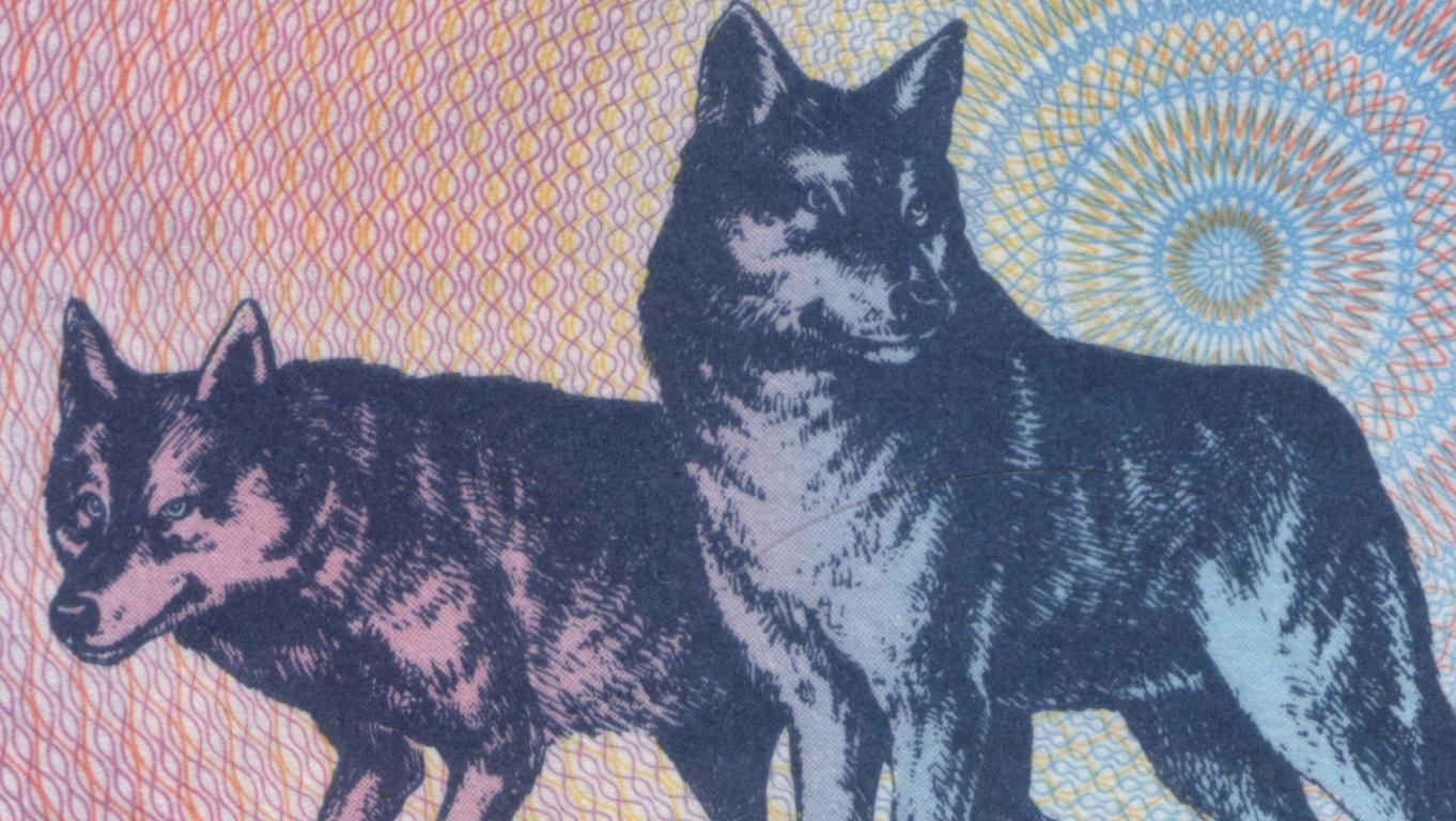 Dois lobos
