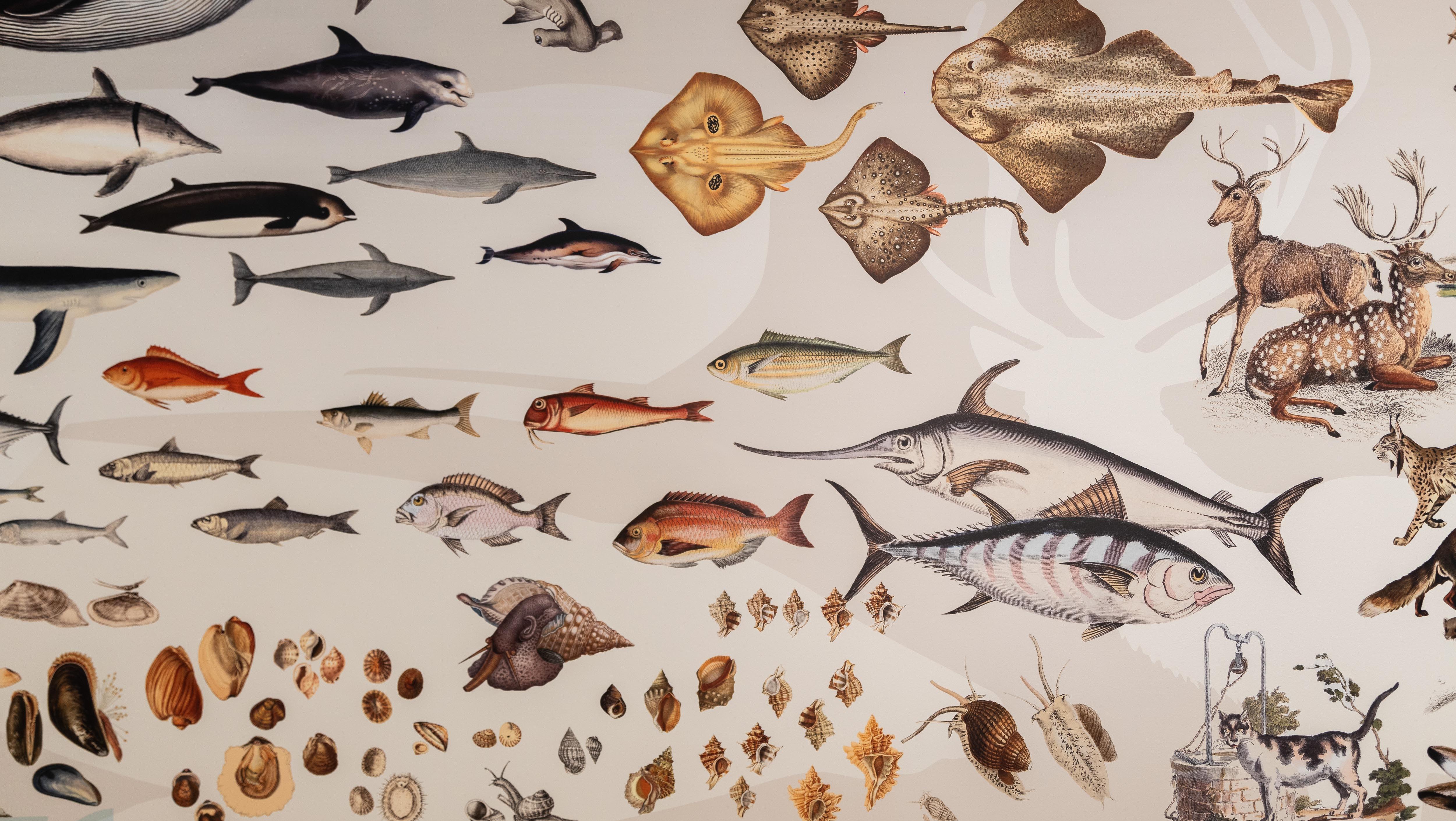 Ilustração de vários peixes