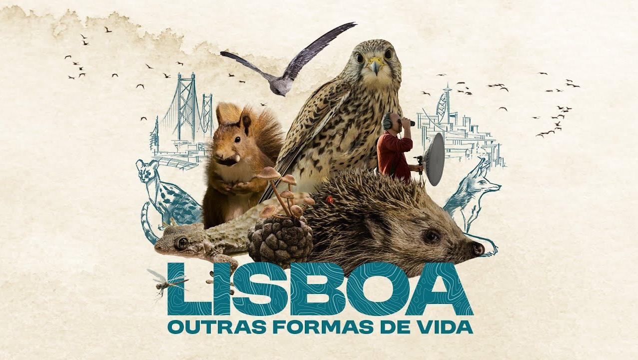 Cartaz filme "Lisboa, Outras Formas de Vida"