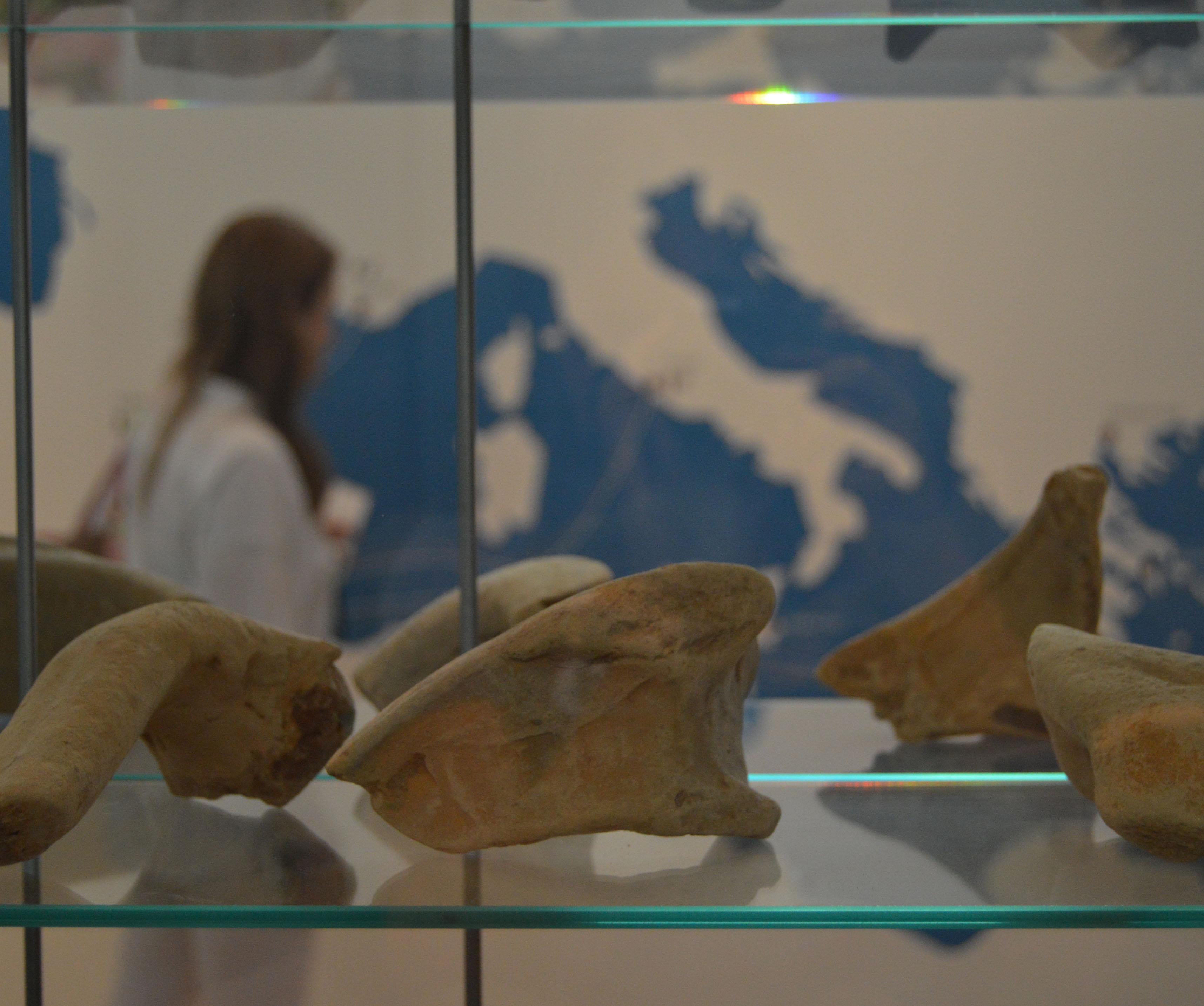 Artefactos arqueológicos dentro de vitrine