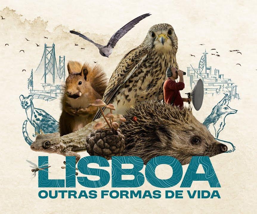 Cartaz filme "Lisboa, Outras Formas de Vida"